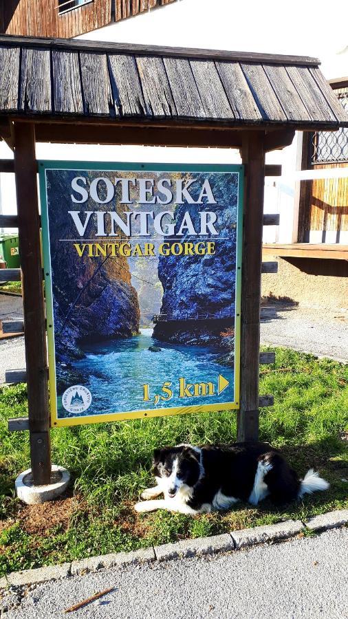 238 Spodnje Gorje Daire Dış mekan fotoğraf