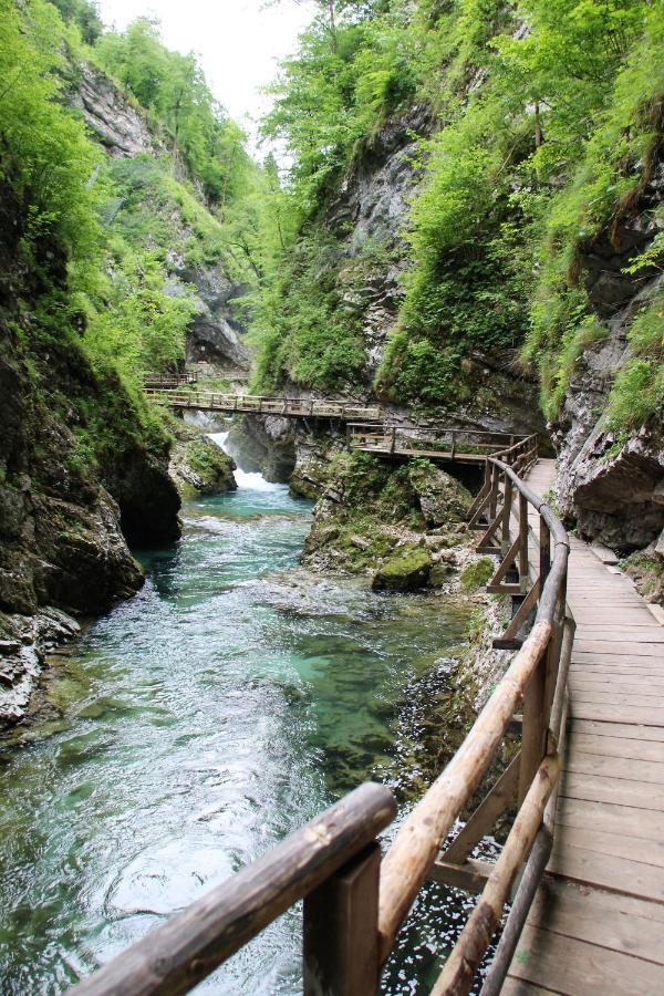 238 Spodnje Gorje Daire Dış mekan fotoğraf