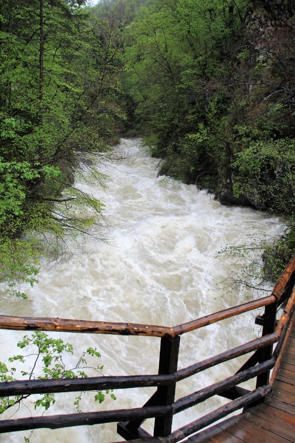 238 Spodnje Gorje Daire Dış mekan fotoğraf