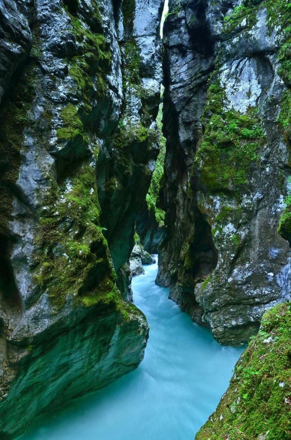 238 Spodnje Gorje Daire Dış mekan fotoğraf
